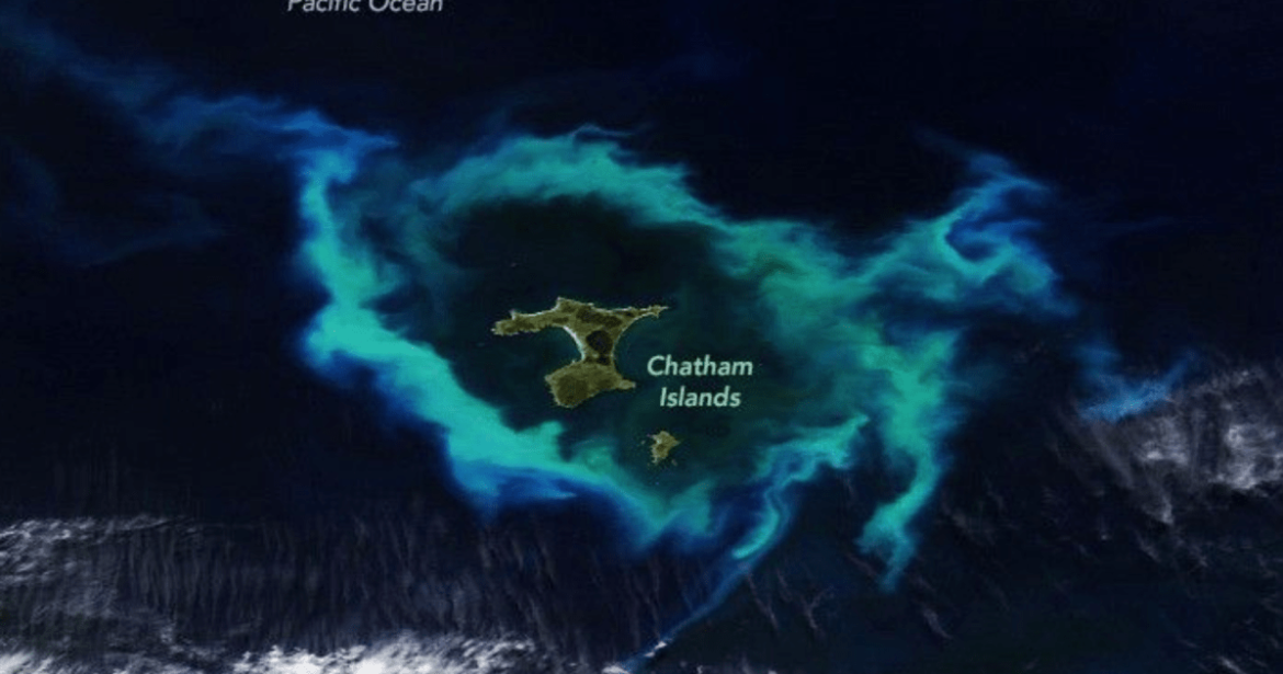 satelite-mostra-ilha-cercada-no-oceano-por-anel-verde-brilhante;-entenda